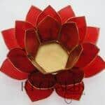 3-layer lotus (red) top (1)