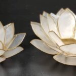 received_115443979794527 (1)