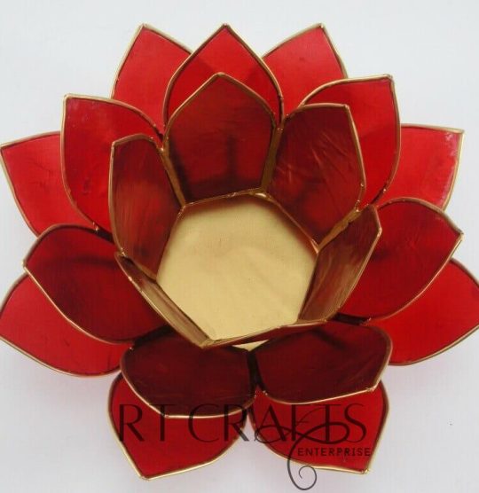 3-layer lotus (red) top (1)